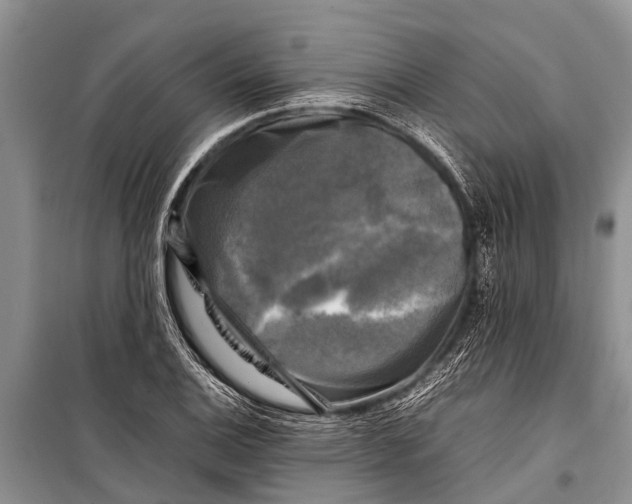 X0000098191124200805151159