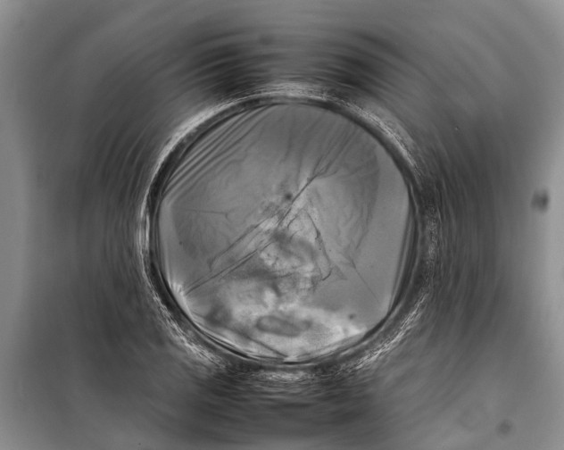 X0000098191125200805151159