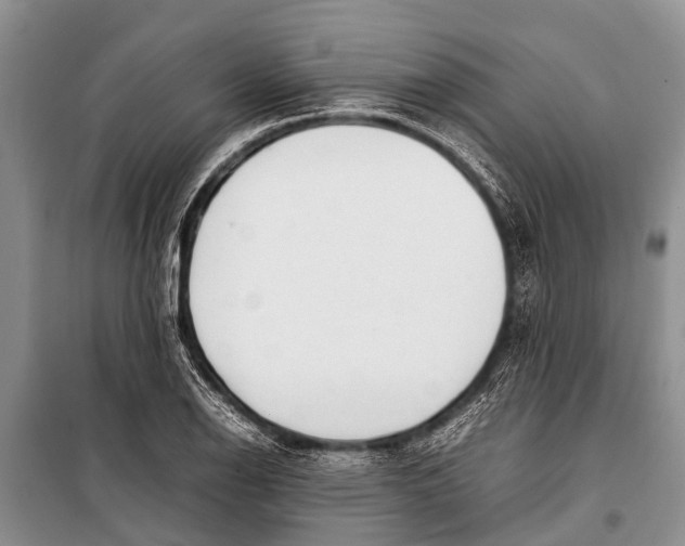 X0000098191126200805151159