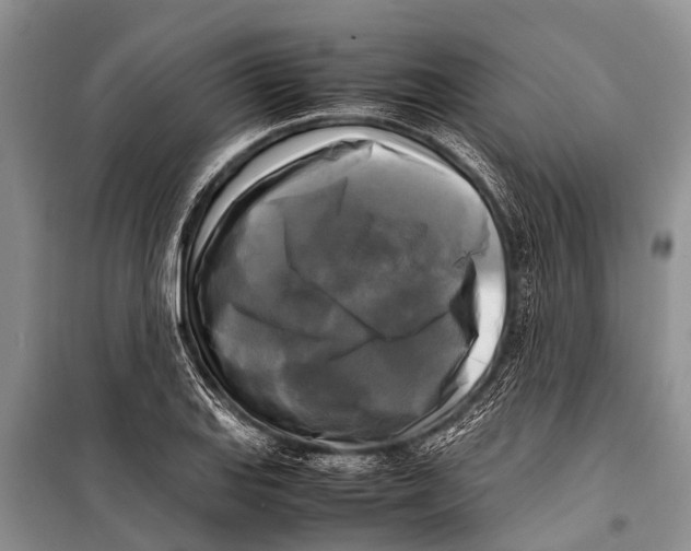 X0000098191127200805151159