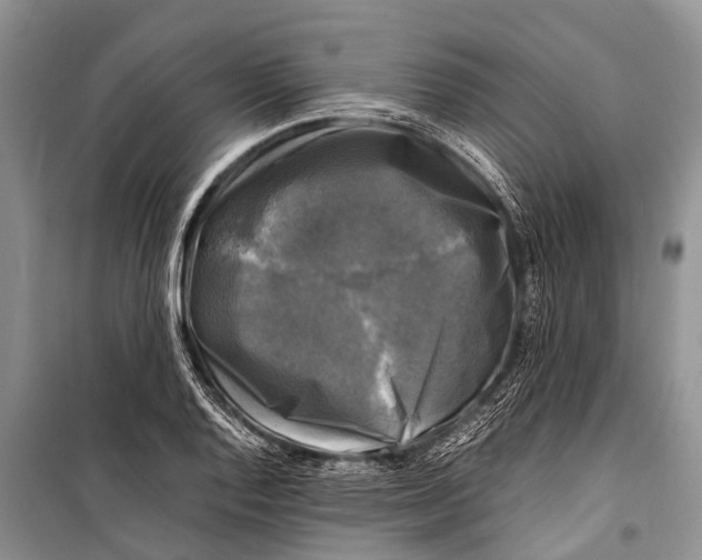 X0000098191128200805151159