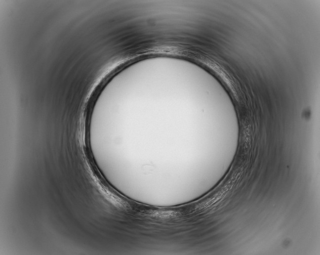 X0000098191131200805151159