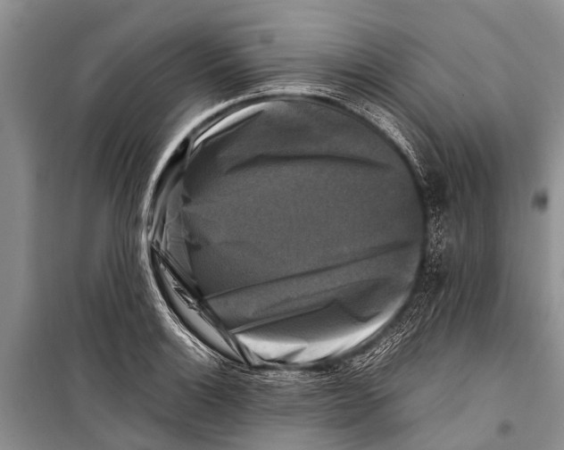 X0000098191132200805151159
