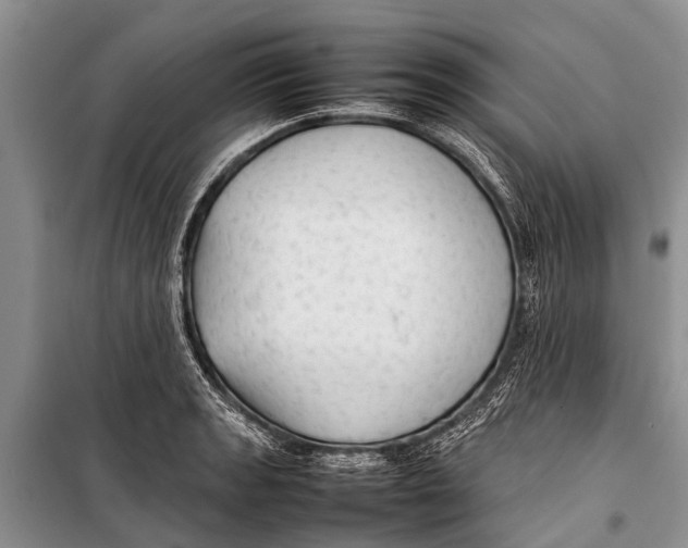 X0000098191133200805151159