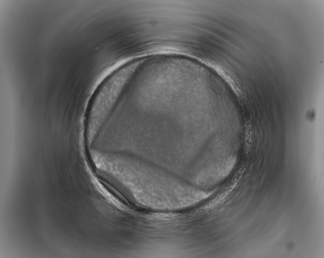 X0000098191134200805151159