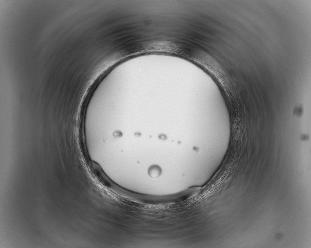 X0000098191135200805151159