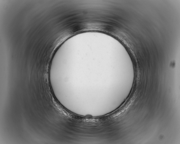 X0000098191137200805151159