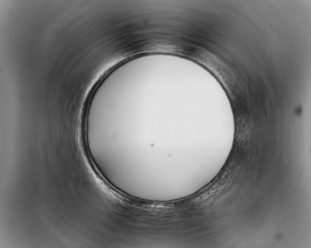 X0000098191139200805151159