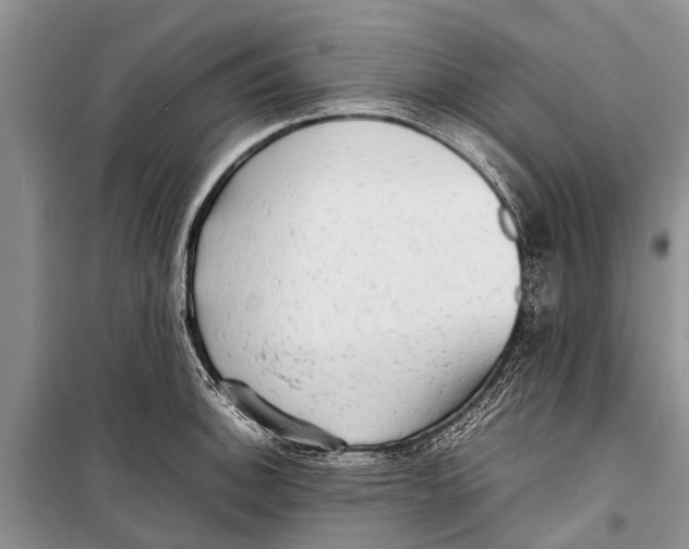 X0000098191140200805151159