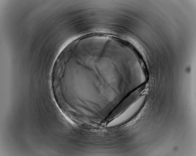 X0000098191141200805151159