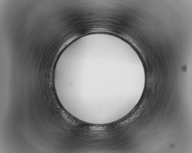 X0000098191145200805151159
