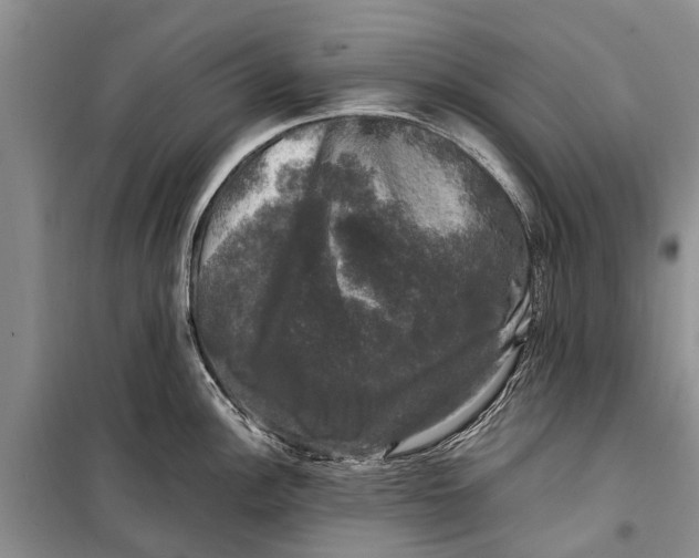 X0000098191148200805151159