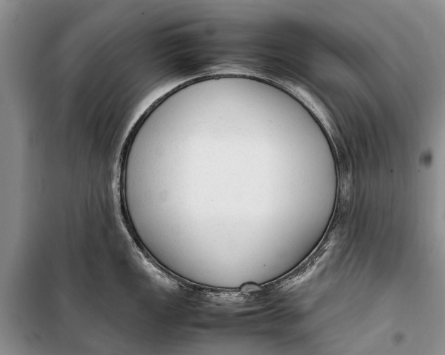 X0000098191149200805151159