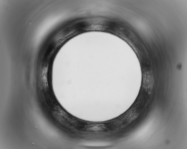 X0000098191150200805151159