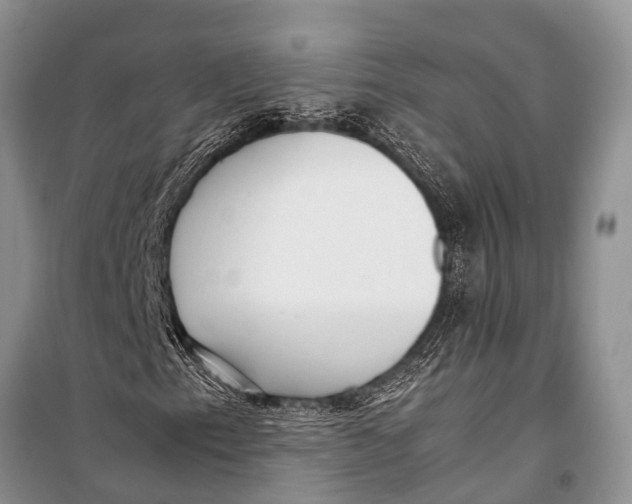 X0000098191153200805151158