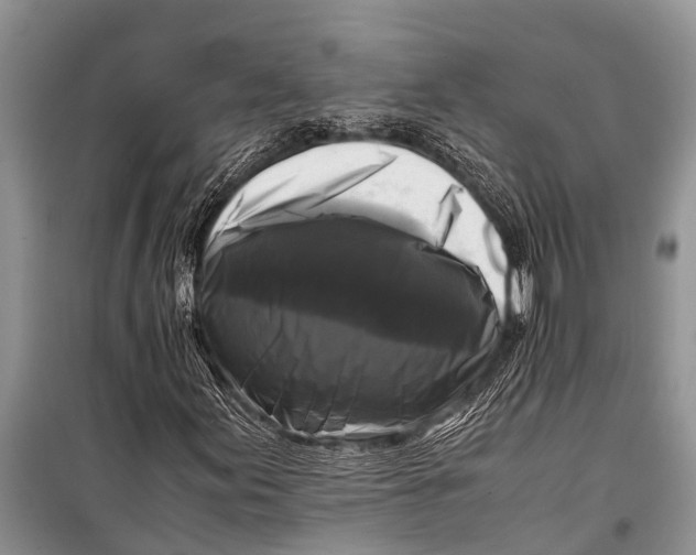 X0000098191155200805151158