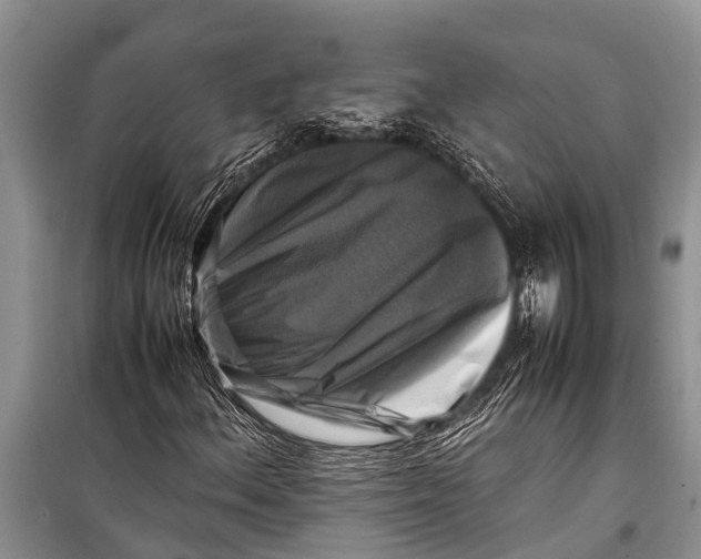 X0000098191156200805151158