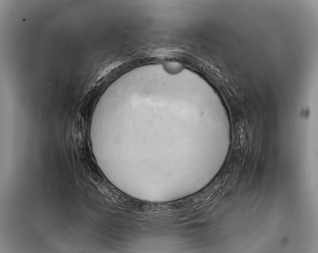 X0000098191158200805151158