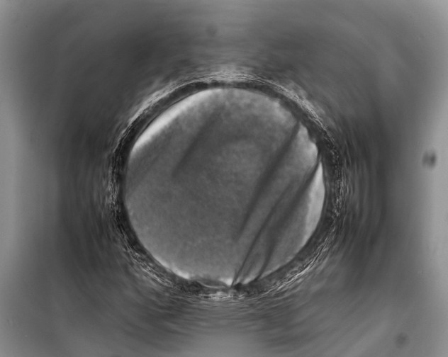 X0000098191160200805151158