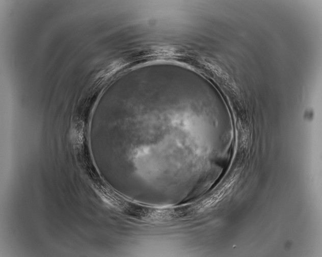 X0000098191161200805151158