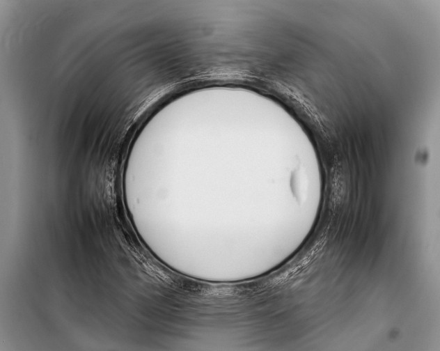 X0000098191162200805151158