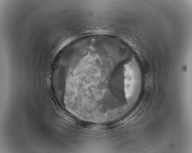 X0000098191163200805151158