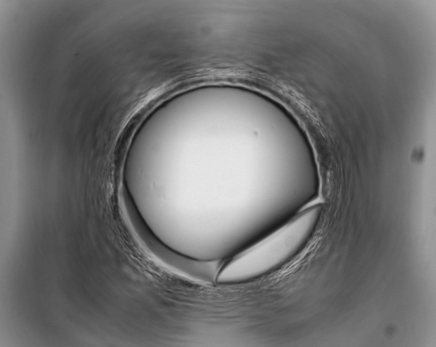 X0000098191165200805151158