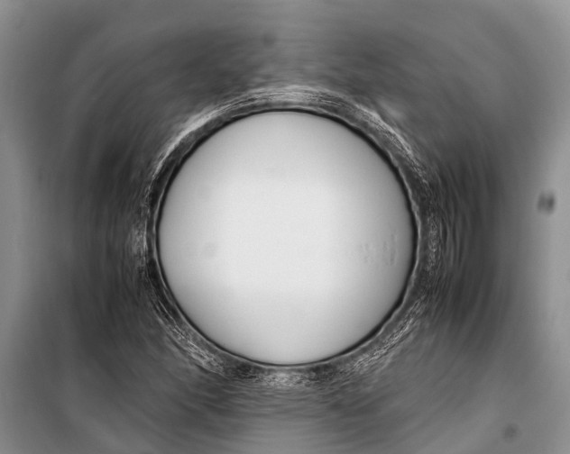 X0000098191166200805151158