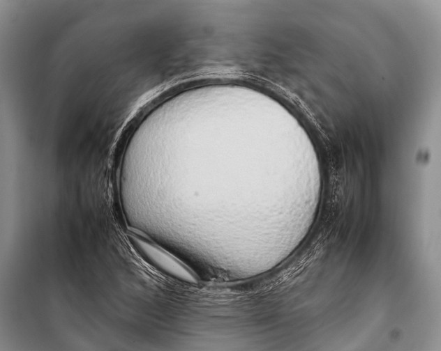 X0000098191168200805151158