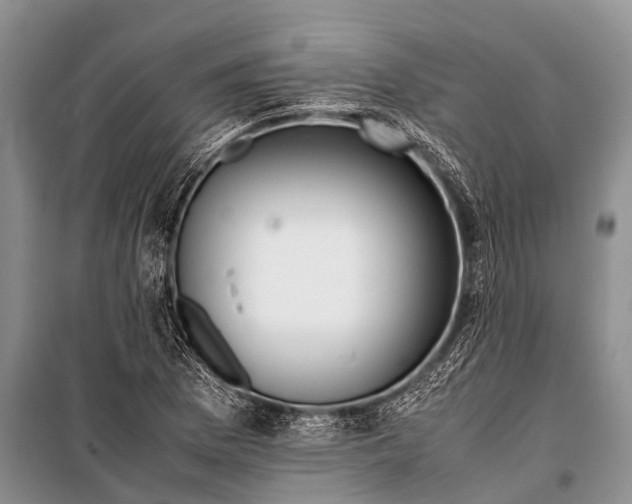 X0000098191169200805151158