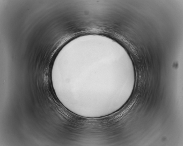 X0000098191170200805151158