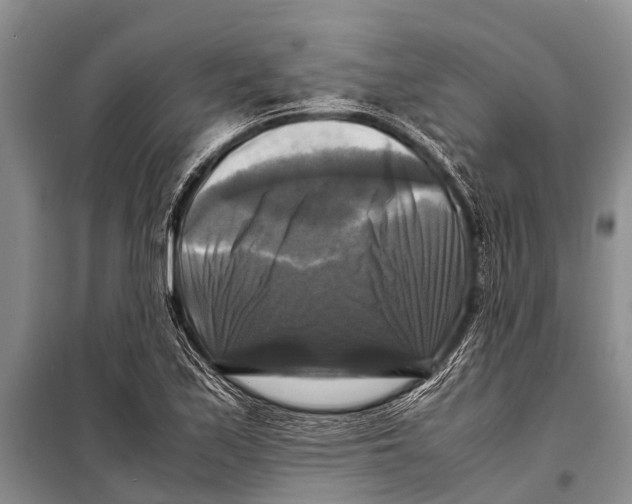 X0000098191171200805151158