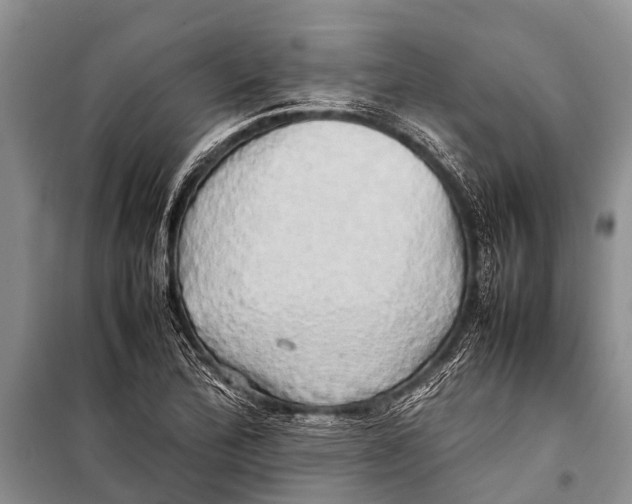 X0000098191172200805151158
