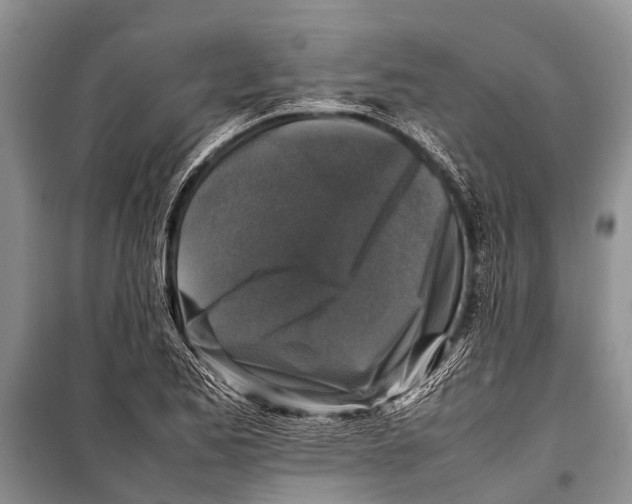 X0000098191173200805151158