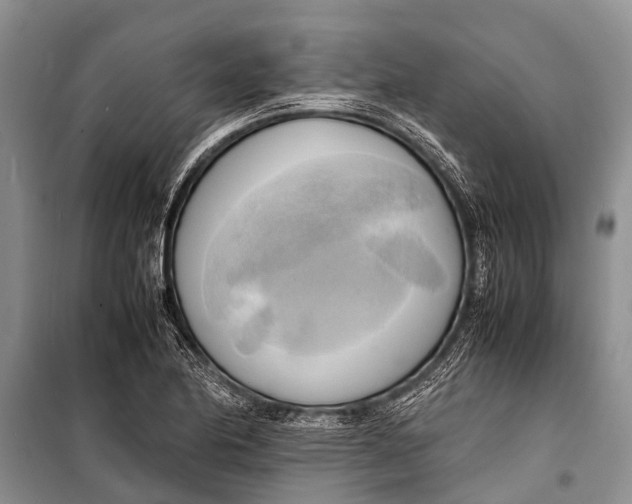 X0000098191174200805151158