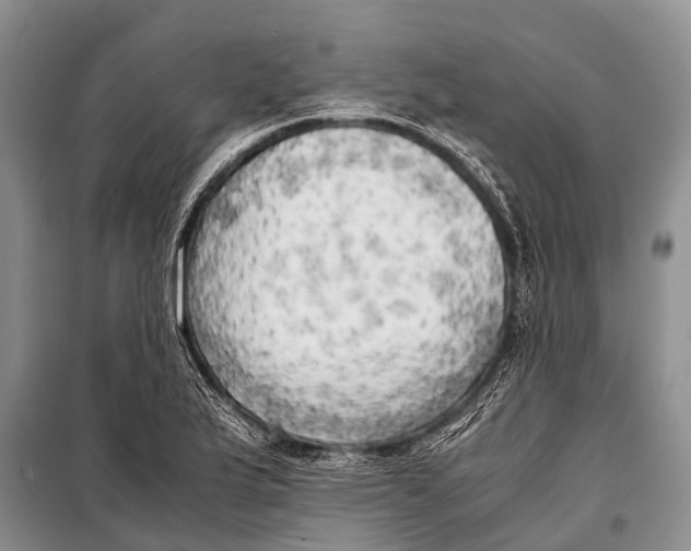 X0000098191175200805151158
