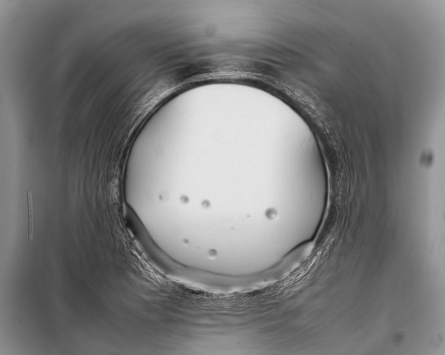 X0000098191177200805151158