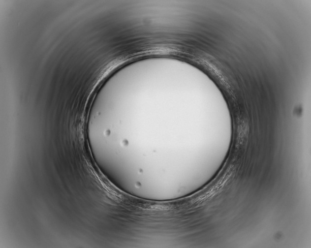 X0000098191178200805151158