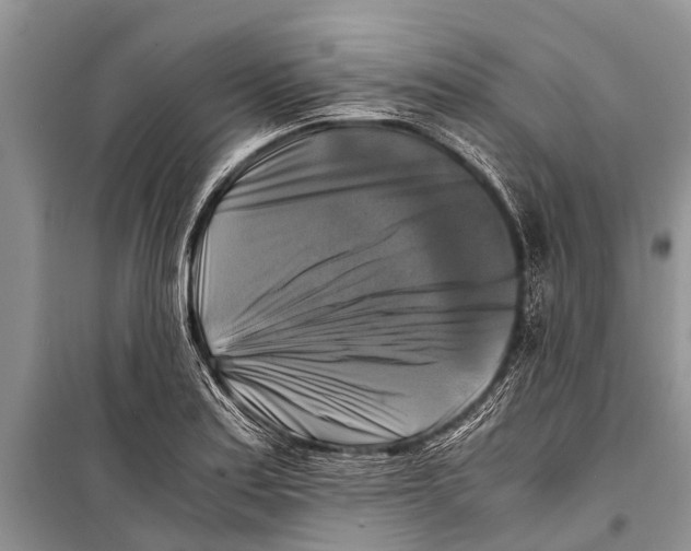 X0000098191179200805151158