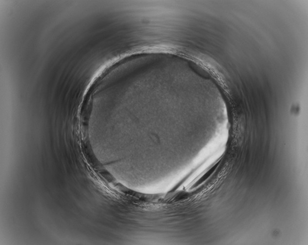 X0000098191184200805151158