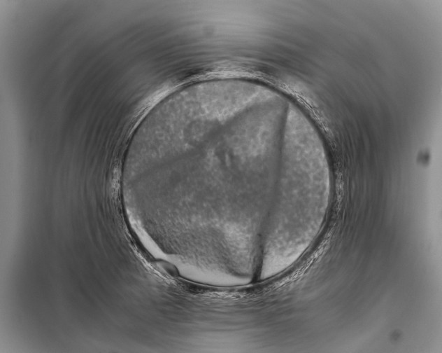 X0000098191185200805151158