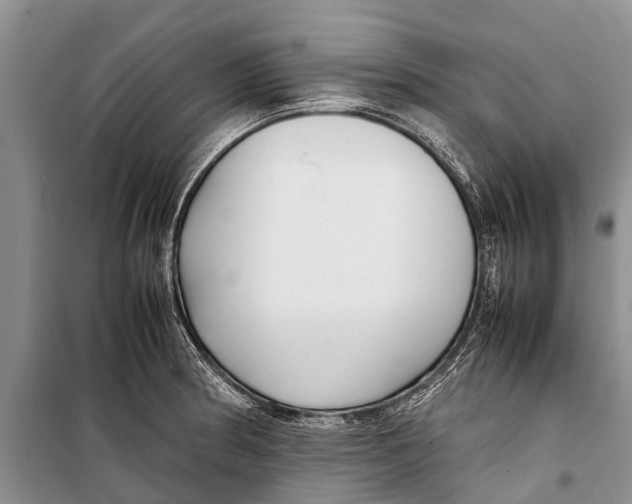 X0000098191186200805151158