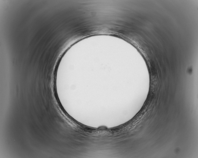 X0000098191187200805151158