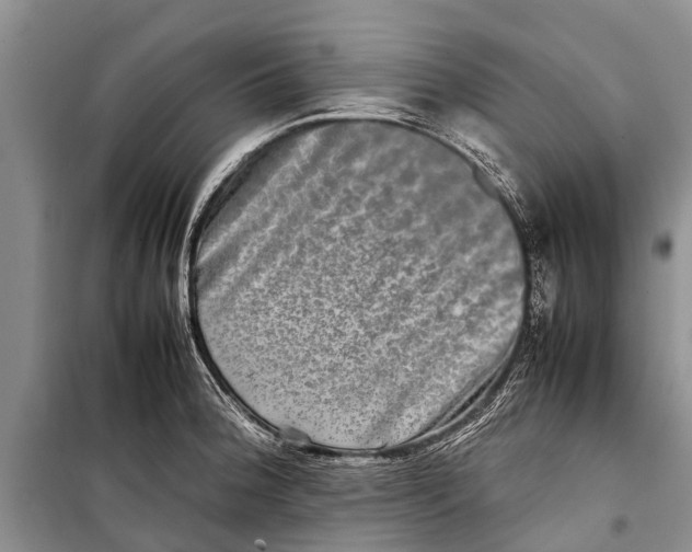 X0000098191188200805151158
