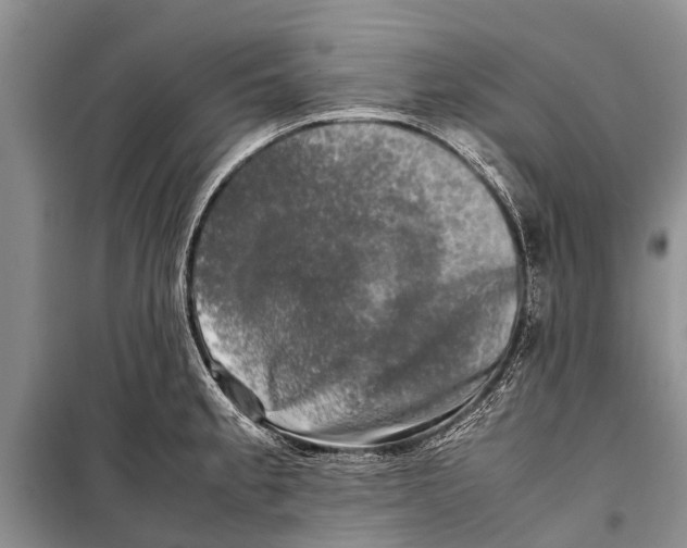 X0000098191189200805151158