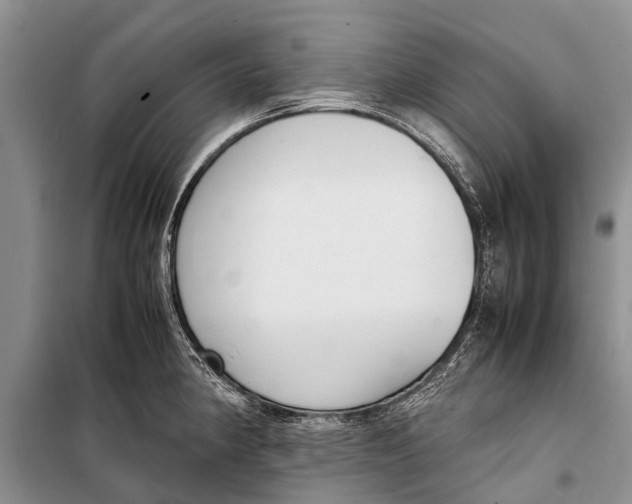 X0000098191190200805151158