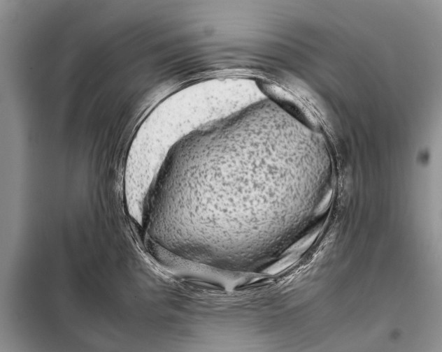 X0000098191193200805151158
