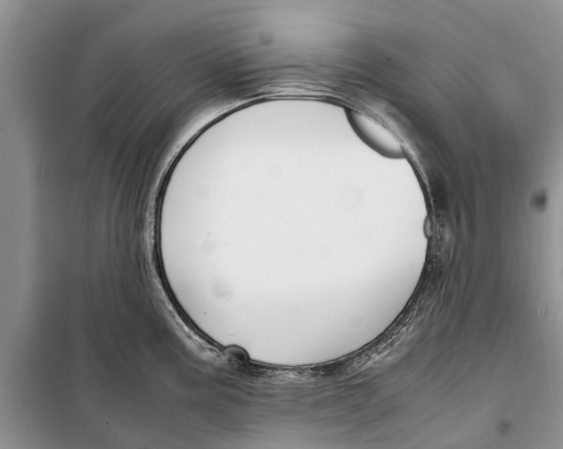 X0000098191195200805151157