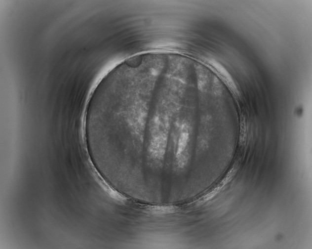 X0000098191196200805151157