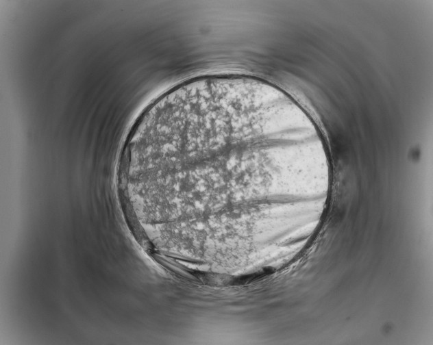 X0000098191197200805151157